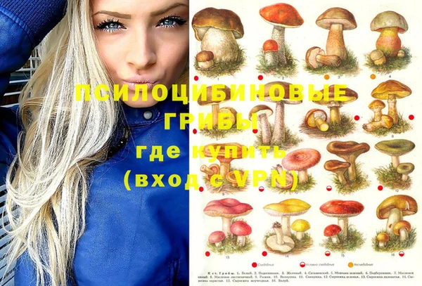 mdpv Горнозаводск