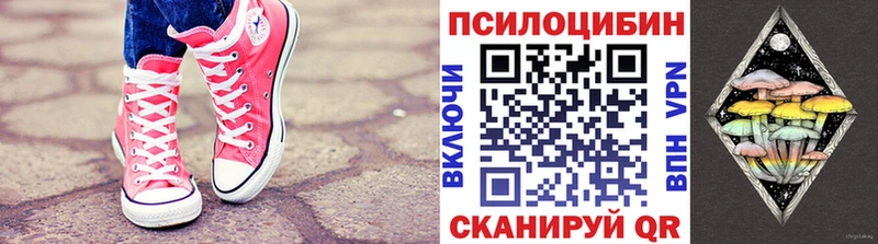 Галлюциногенные грибы мицелий Купить где Пущино